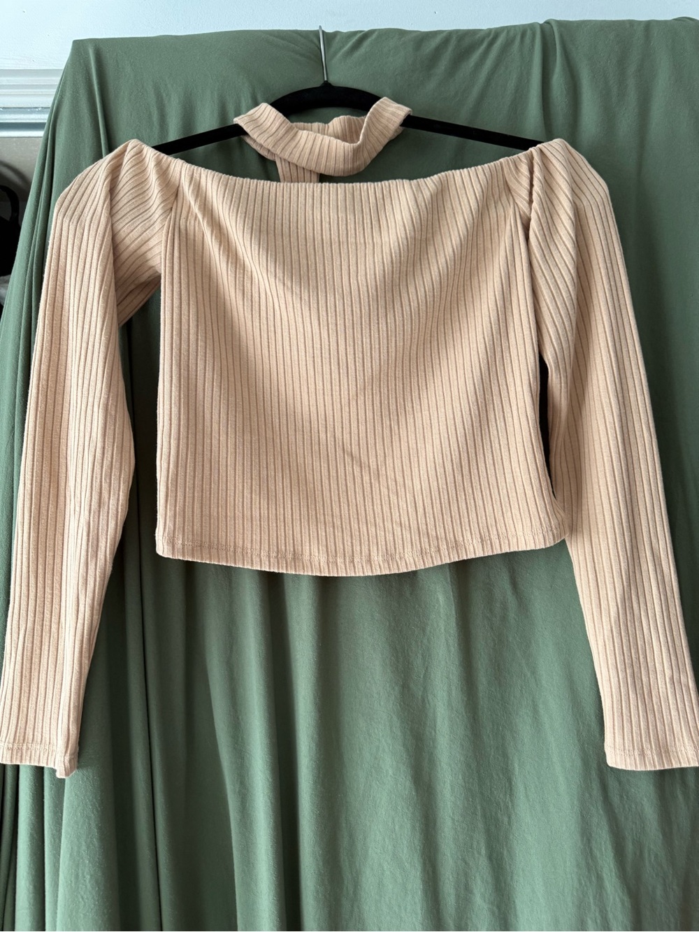 Ribbed Off-Shoulder Long Sleeve Top in Nude